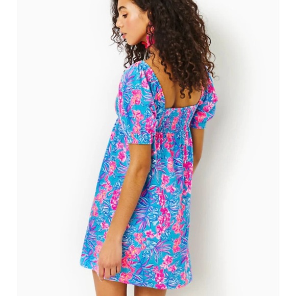 Lilly Pulitzer Delaney Short Sleeve Dress - Blue and Pink - Size 2 - Picture 3 of 15
